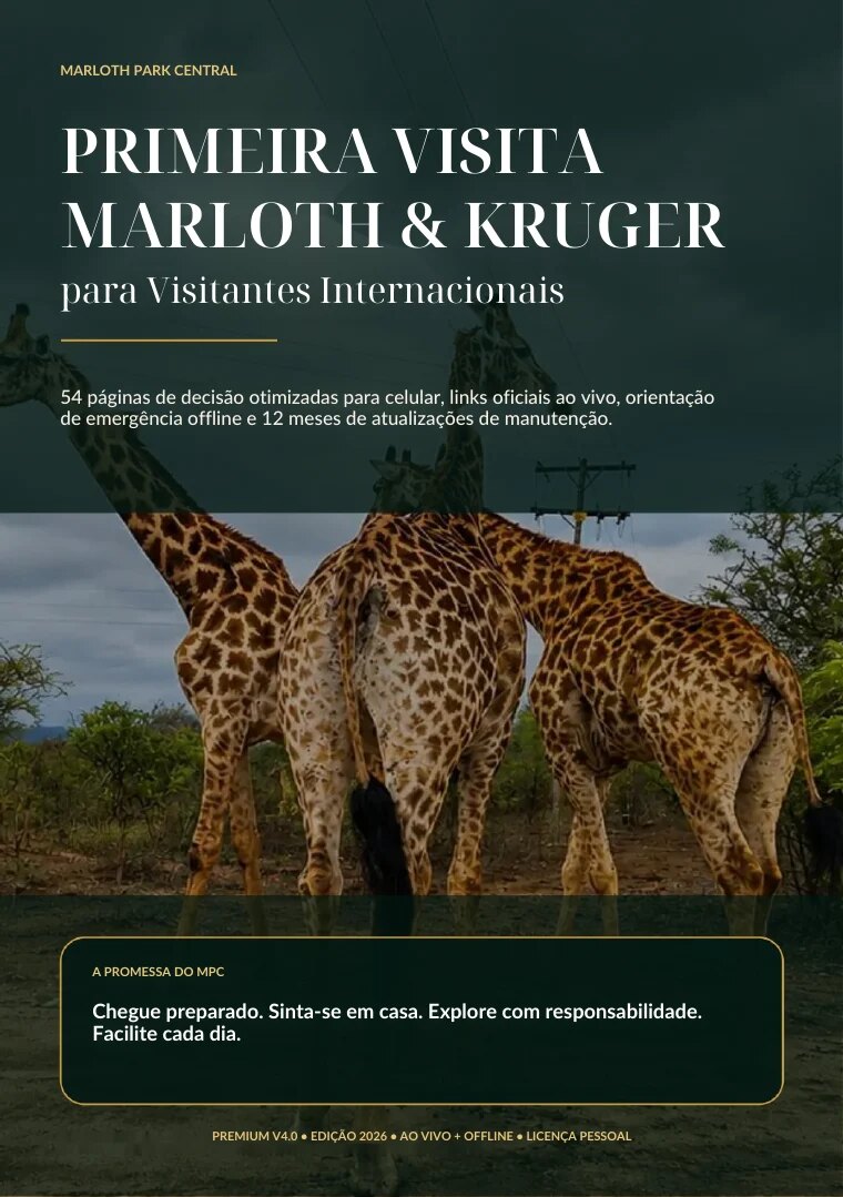 Primeira visita Marloth & Kruger cover