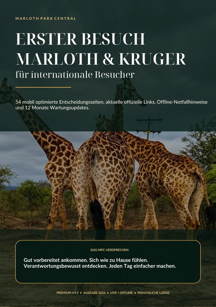 Seitenvorschau 1